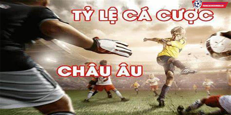 Tỷ lệ Châu Âu (European Odds)