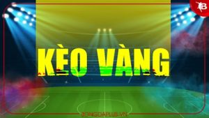 Keo vang ban Premium